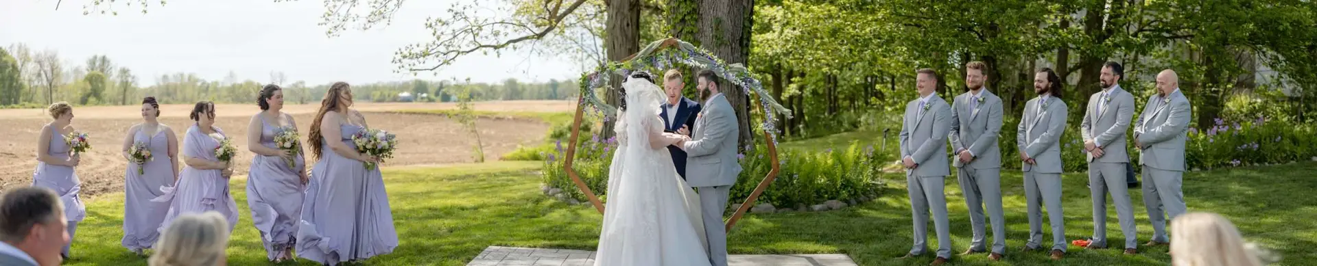 panorama - Kalamazoo wedding photographer
