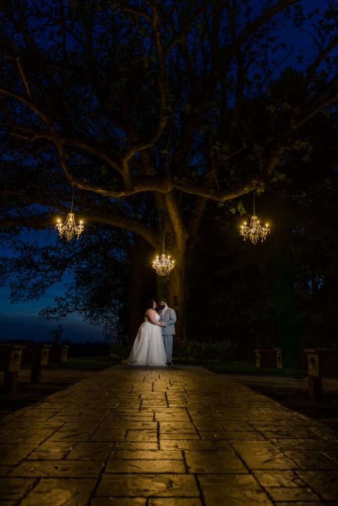 Night shot under iconic tree at Vintage Rose Barn