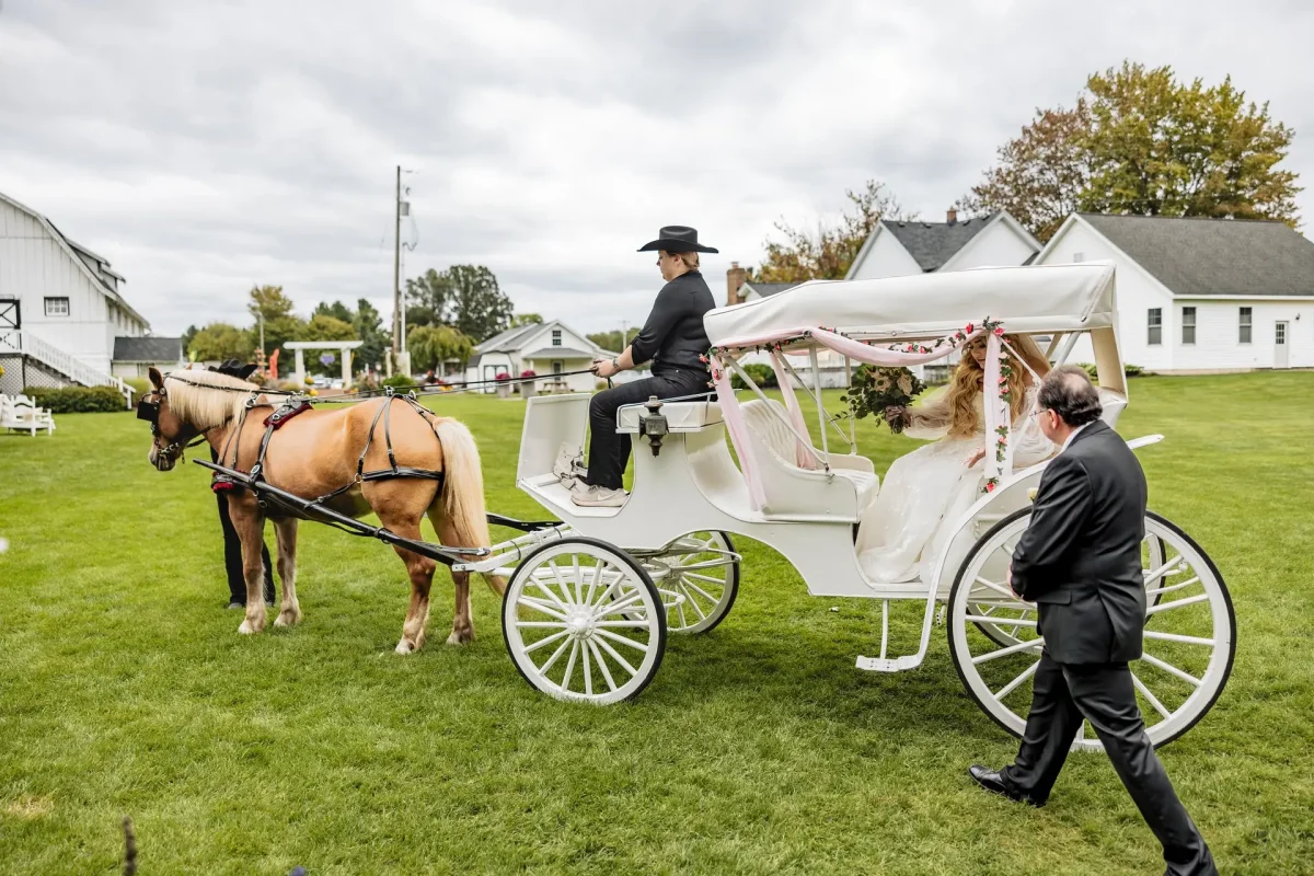 Horse drawn carriage for the bride